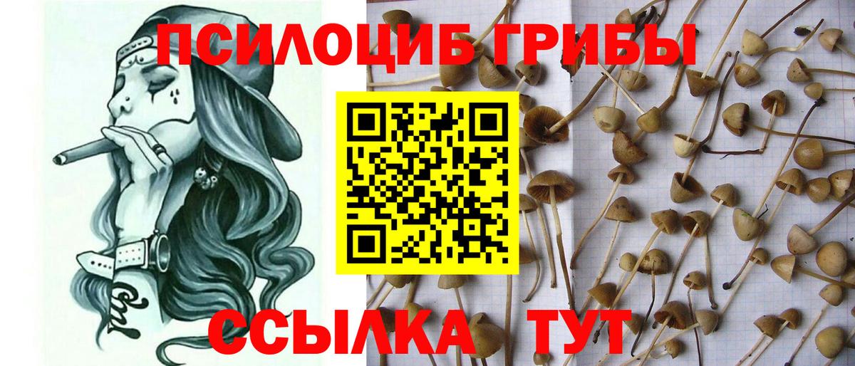 Приморско-Ахтарск  Псилоцибиновые грибы Psilocybe  Вход с VPN  Галлюциногенные грибы Magic Shrooms 