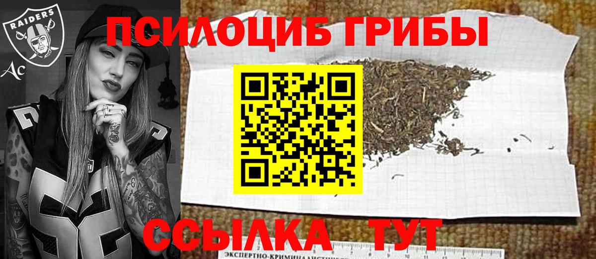 Галлюциногенные грибы Psilocybine cubensis Приморско-Ахтарск